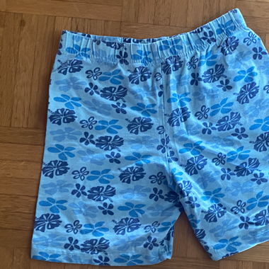Hawaii Shorts 