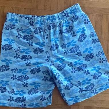 Hawaii Shorts 