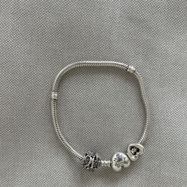 Pandora Armband mit zwei Charms