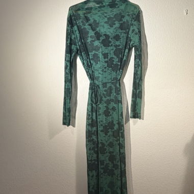 Robe longue transparente verte ceintrée