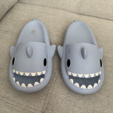 Shark Slides