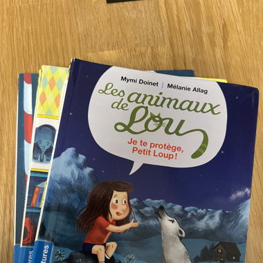 Livre Les animaux de Lou 
