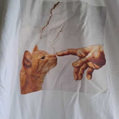 Adorable T-shirt with cat 