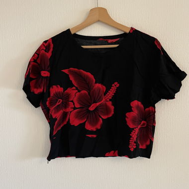 Chemise hawaïenne d'Hawaï