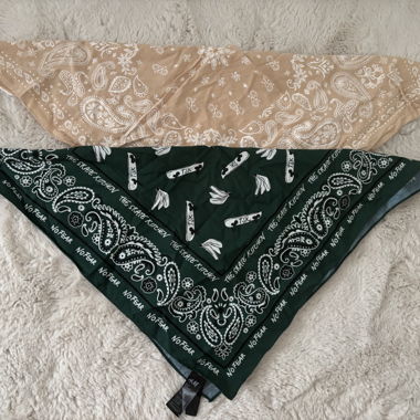 2 Bandanas H&M/TSK