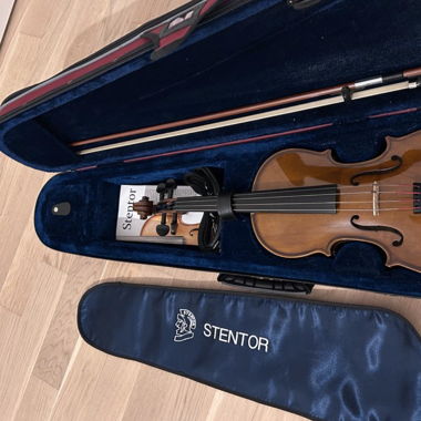 Violon Stentor adulte