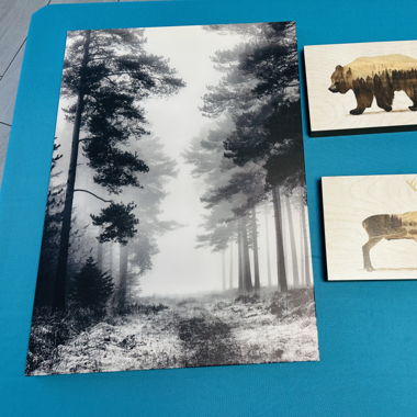 Bilder