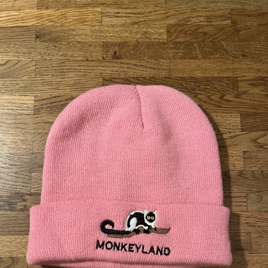 Pink Beanie 