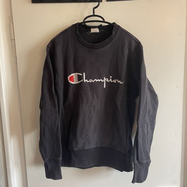 Champion Sweater