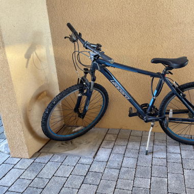 rampichino blu