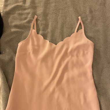 Top rose Ted Baker