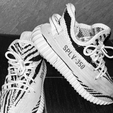 Yezzy 350