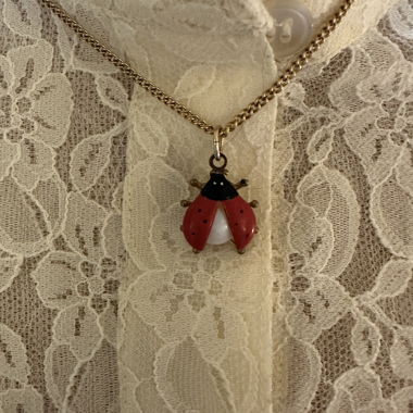 Ladybug pendant necklace on beads 