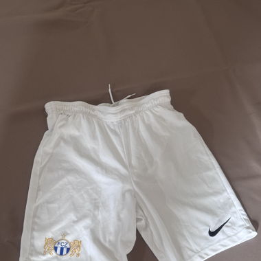 FCZ Nike Shorts
