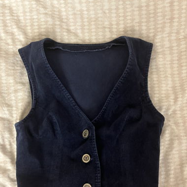 Blue Vest