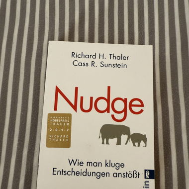 Nudge Buch