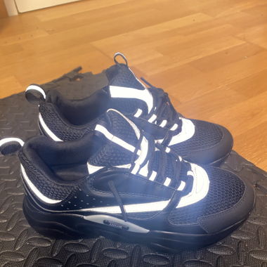 Dior b22