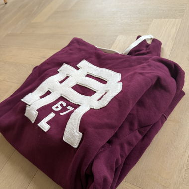 Sweat à capuche Polo Ralph Lauren