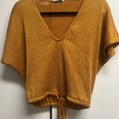 Zara crop shirt