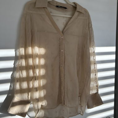 Zara Beige Sheer Blouse