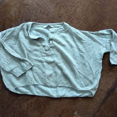 Zara Beige Top
