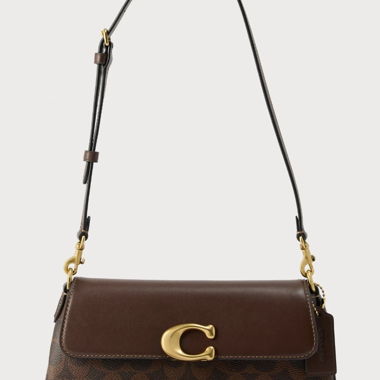 Borsa Coach