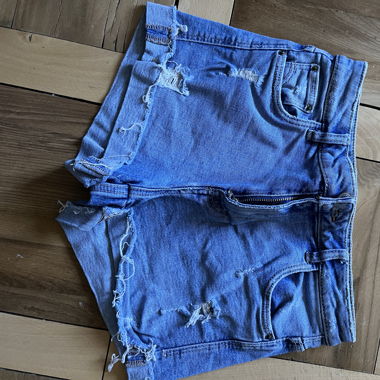 Zara Shorts