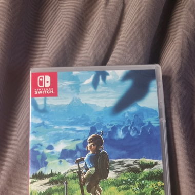 Zelda breath of the wild 1