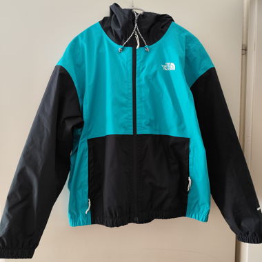 The north face Windbreaker 