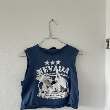 blue crop top