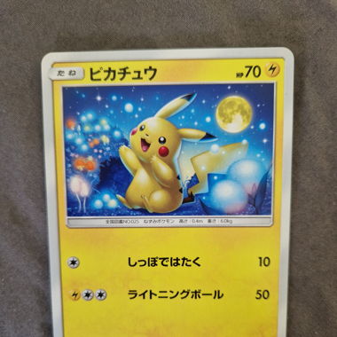 Carte Pokemon
