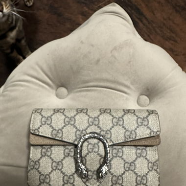 Gucci Dionysus