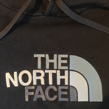 The north face Hoodie