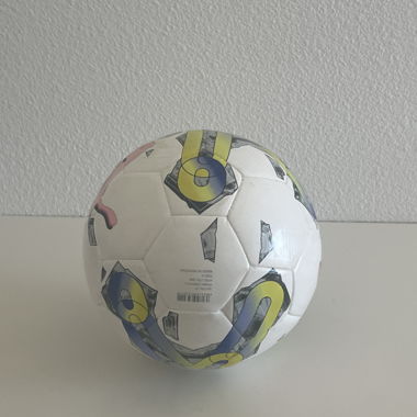 Pallone da calcio