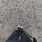 mounia_ltr