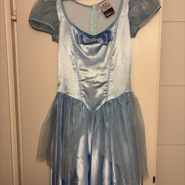 Disney Cinderella Kleid