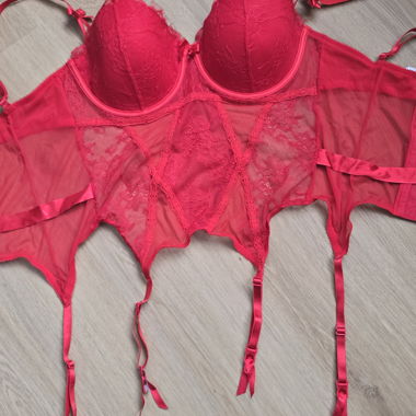Red Lace Bra Body