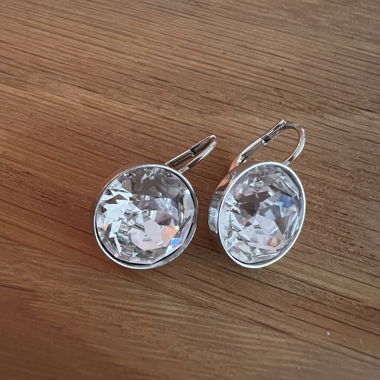 Swarovski Silberfarbene Ohrringe mit Kristallstein