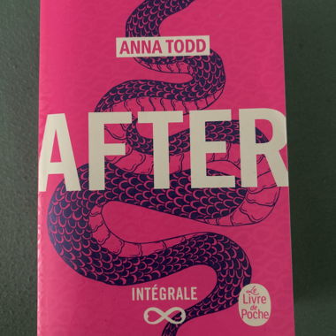 After (1-5) von Anna Todd