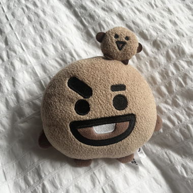original BT21 plush cushion set