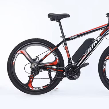 Bicicletta elettrica sportiva 
