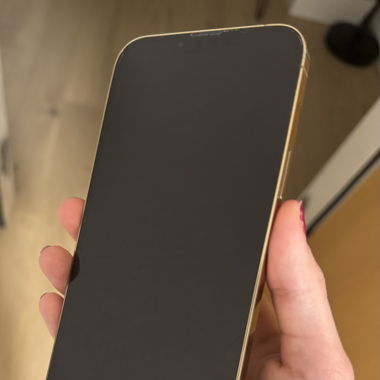 Iphone 13 pro max 256GB