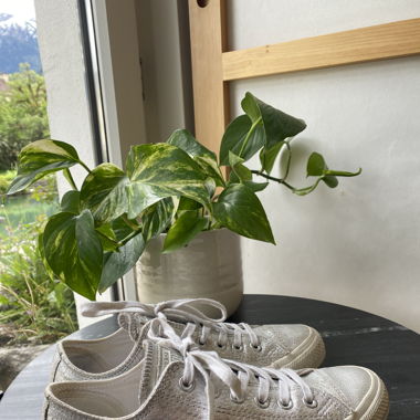 Vintage Converse All Star, silver