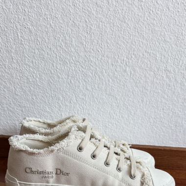 Christian Dior Converse