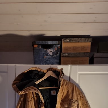 Carhartt Wintermantel