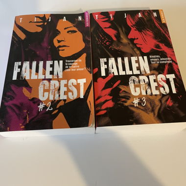 Lot de 2 livres 