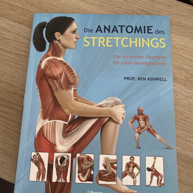 L’anatomie de l’étirement