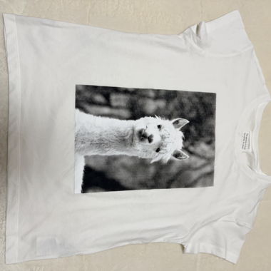 ARMEDANGELS alpaca print white T-shirt