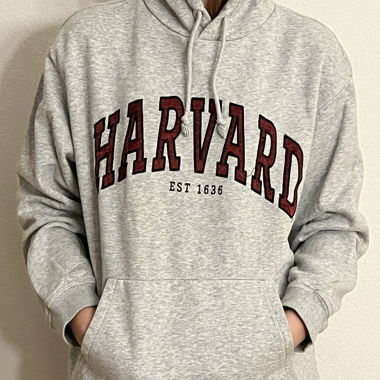 Grauer Harvard Hoodie