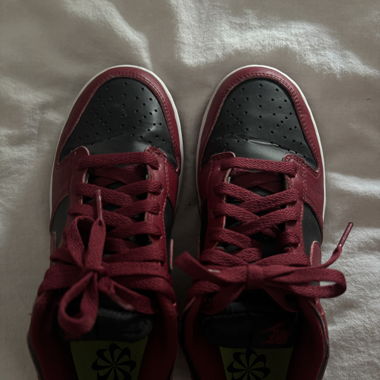 Coppia di Dunk Low 38